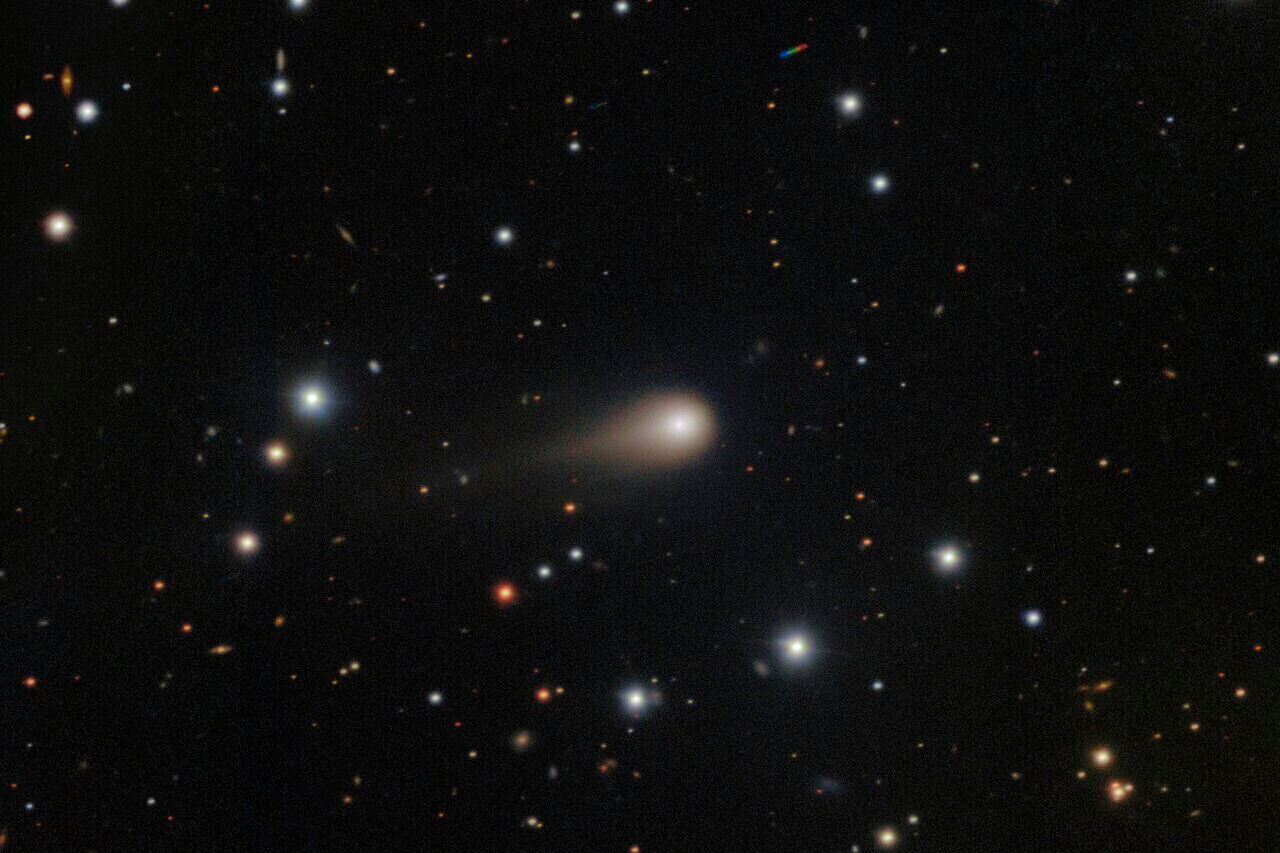 Interstellar Comet